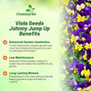 Outsidepride Johnny Jump Up Viola Wild Flower Seeds - 1/8 lb Easy-to-Grow, Compact & Hardy Perennial Seeds for Planting Outdoors, Ideal for Pollinators, Garden Beds, Containers, & Hanging Baskets