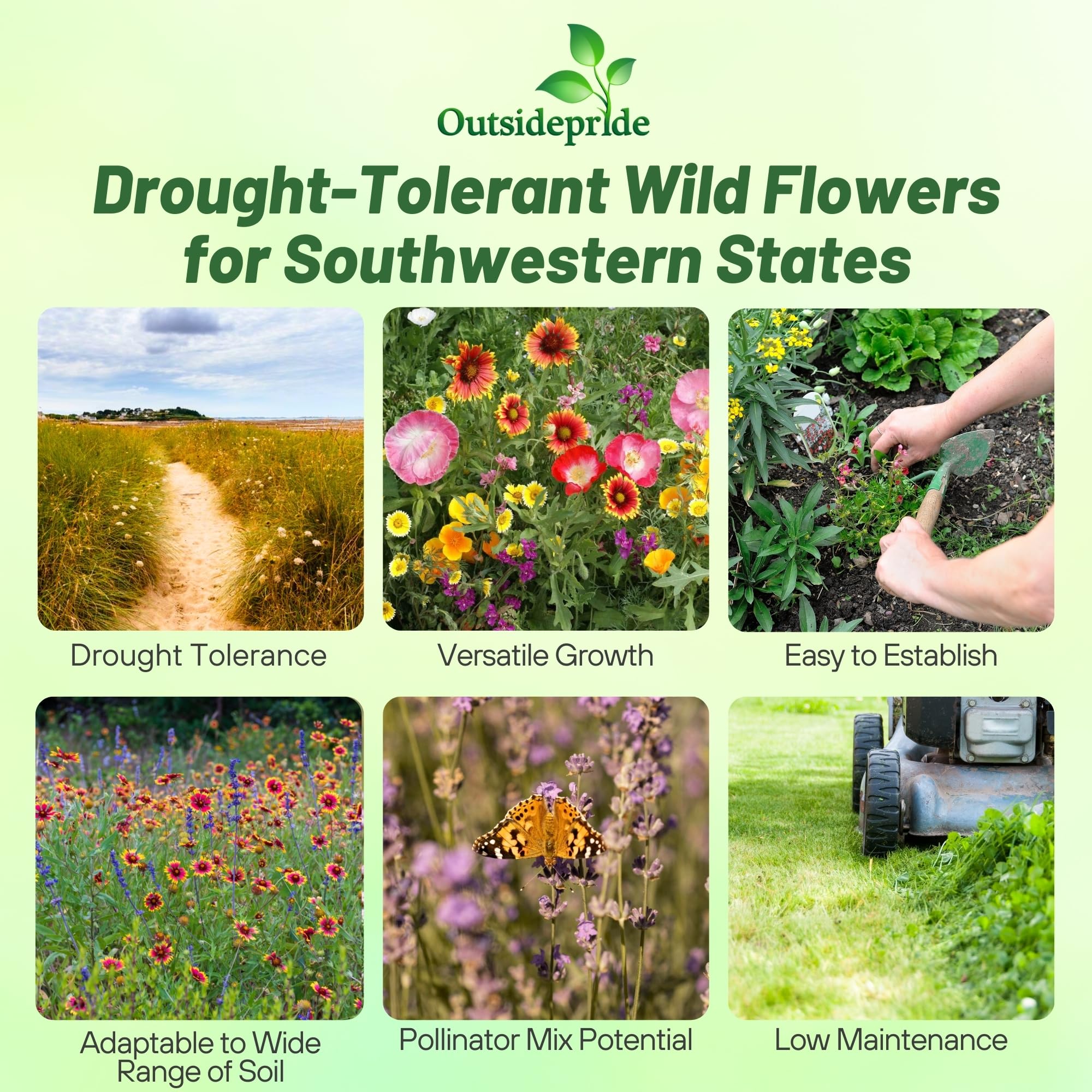 Outsidepride Southwest Wild Flower Seed Mix - 5 lbs. Heat & Drought Tolerant Premium Blend of Annual & Perennial Wildflower Seeds for Planting on Outdoor Lawns & Gardens from Spring to Fall