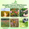 Outsidepride Southwest Wild Flower Seed Mix - 5 lbs. Heat & Drought Tolerant Premium Blend of Annual & Perennial Wildflower Seeds for Planting on Outdoor Lawns & Gardens from Spring to Fall