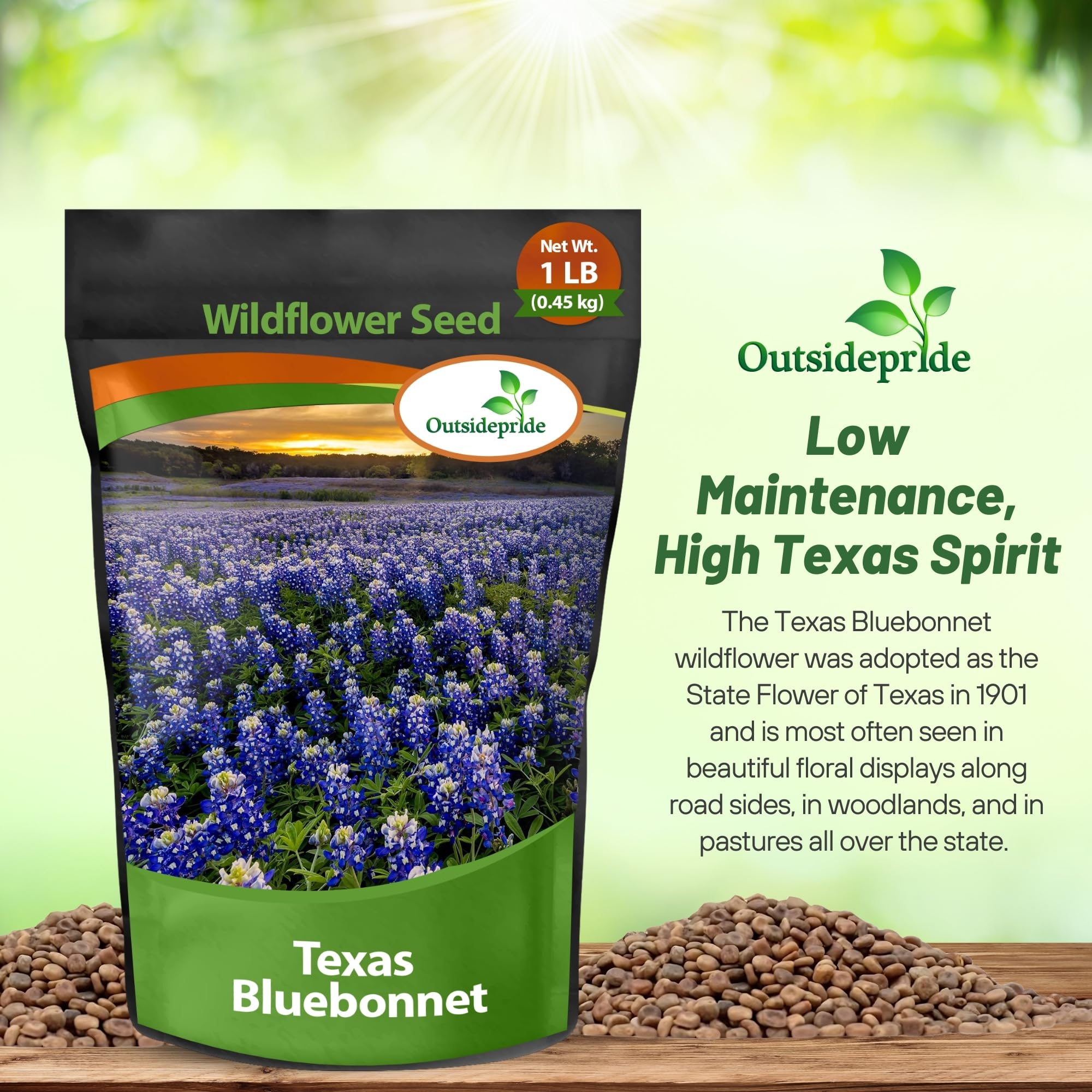 Outsidepride Texas Bluebonnet Seeds - 1 lb. Annual Lupinus Texensis, Heirloom Quality, Drought-Tolerant Wildflower Seeds w/Blue Blooms for Vibrant Spring Displays, Landscape, & Attracts Pollinators