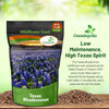 Outsidepride Texas Bluebonnet Seeds - 1 lb. Annual Lupinus Texensis, Heirloom Quality, Drought-Tolerant Wildflower Seeds w/Blue Blooms for Vibrant Spring Displays, Landscape, & Attracts Pollinators