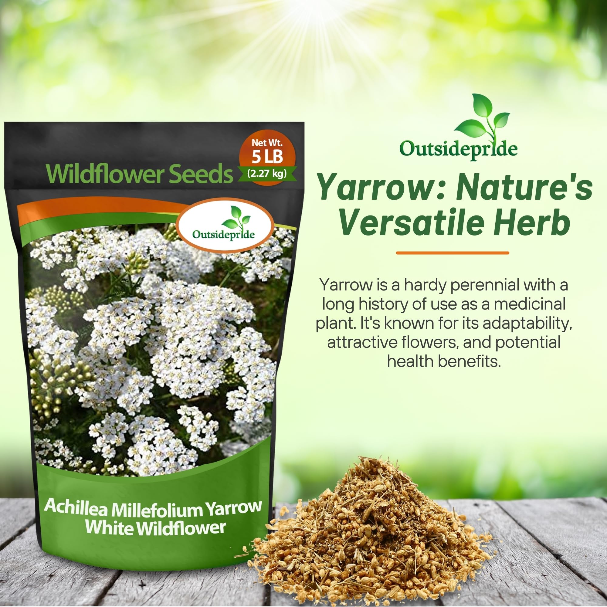 Outsidepride Achillea Millefolium Wild White Yarrow Seeds - 5 Lbs. Perennial Flower Seeds, Drought Resistant, Low Maintenance & Easy Planting for Beautiful Garden & Fireflies Attraction