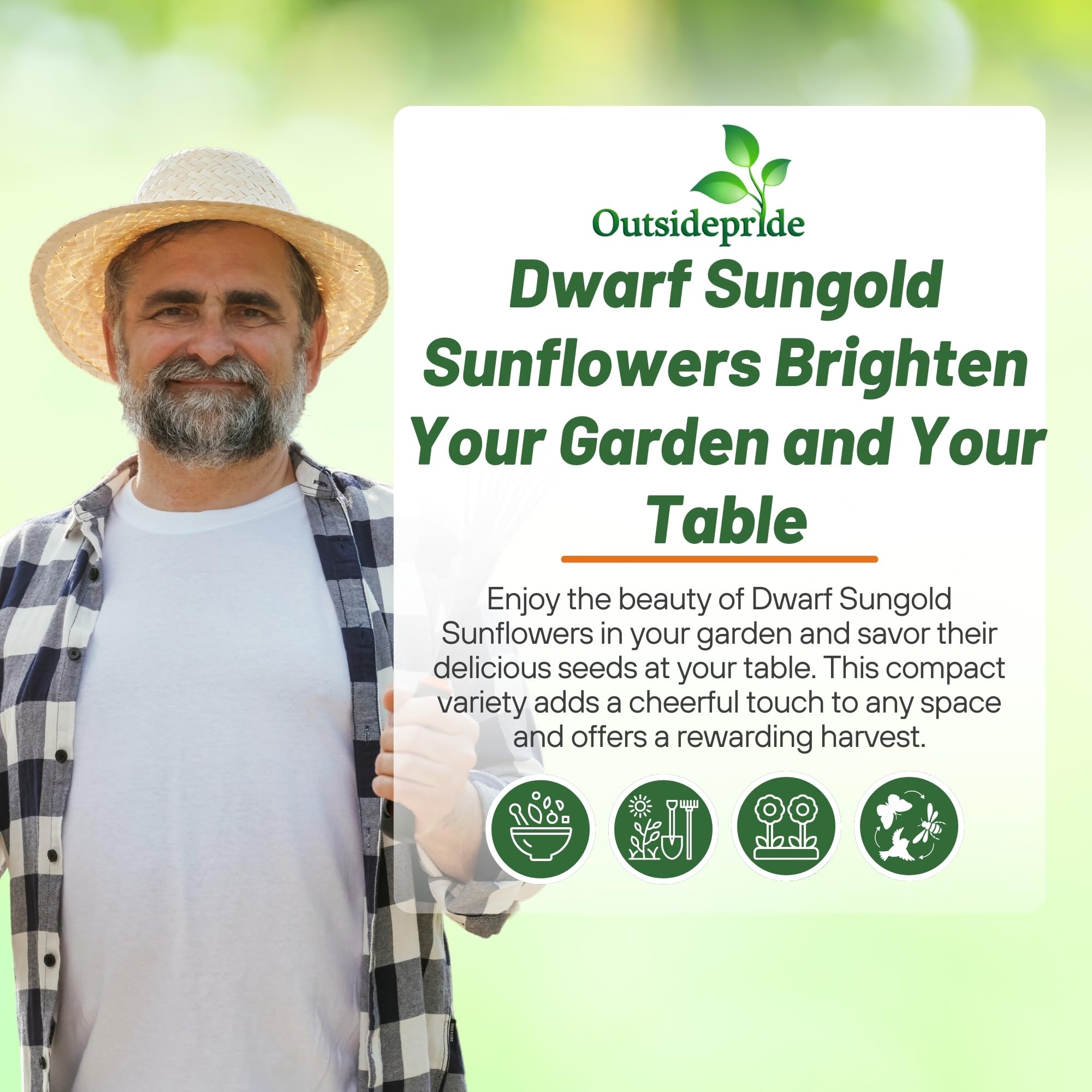 Outsidepride Dwarf Sungold Sunflower Seeds for Planting - 1 Lb. Annual, Easy to Grow Flower Seeds w/Vibrant, Abundant Blooms for Cut Flower Arrangements & Pollinator & Vegetable Gardens