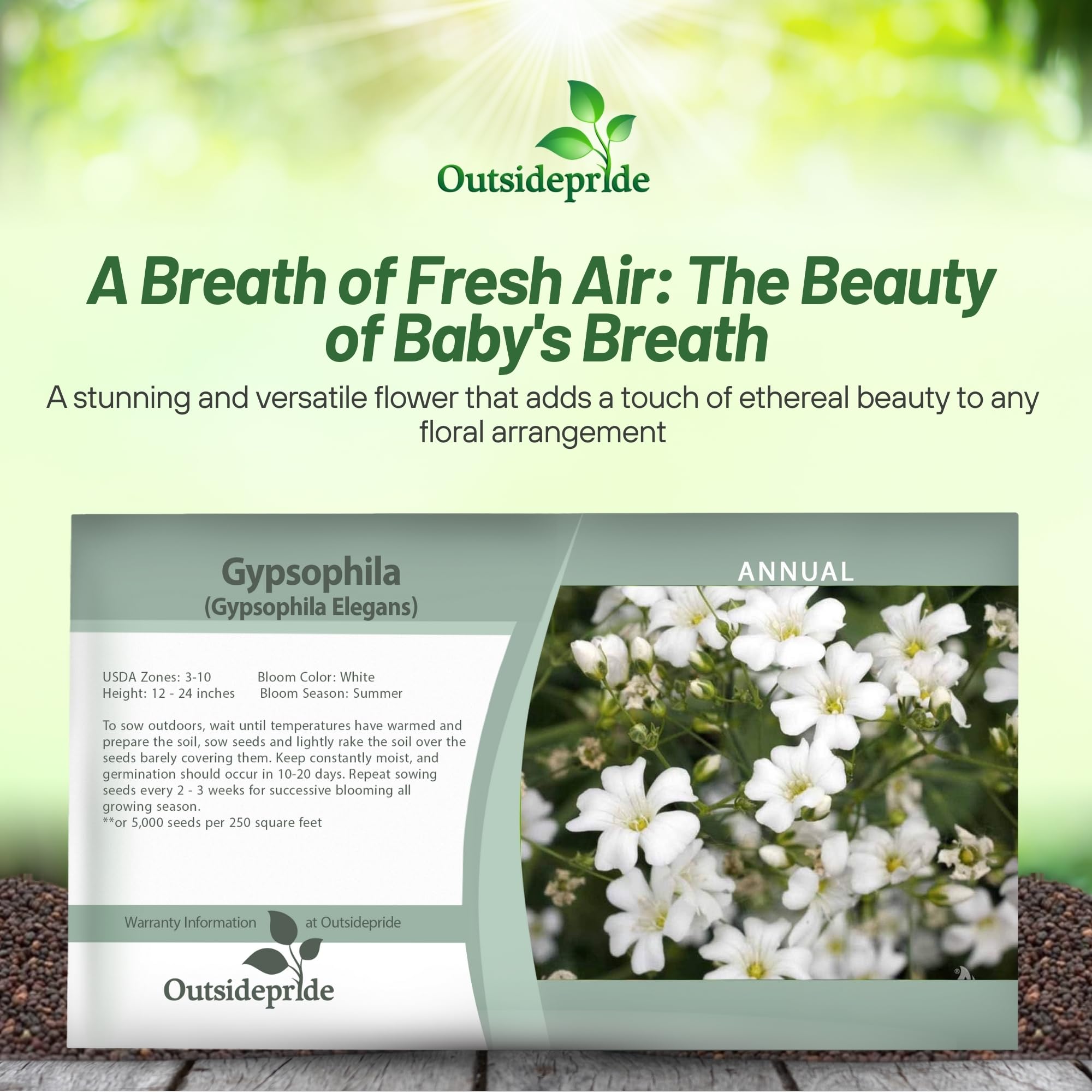 Outsidepride Gypsophila White Baby's Breath Seeds - 5000 Pcs. Annual Hardy, Easy to Grow & Drought Tolerant Wild Flower Seeds for Planting Vibrant Blooms in Pollinator Gardens & Floral Arrangements