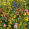 Outsidepride Mountain Wild Flower Seed Mix - 5 lbs Premium Blend of Annual & Perennial Wildflower Seeds for High-Elevation in USDA Zones 3-8, Ideal for Mountain Gardens, Low-Maintenance & Easy to Grow