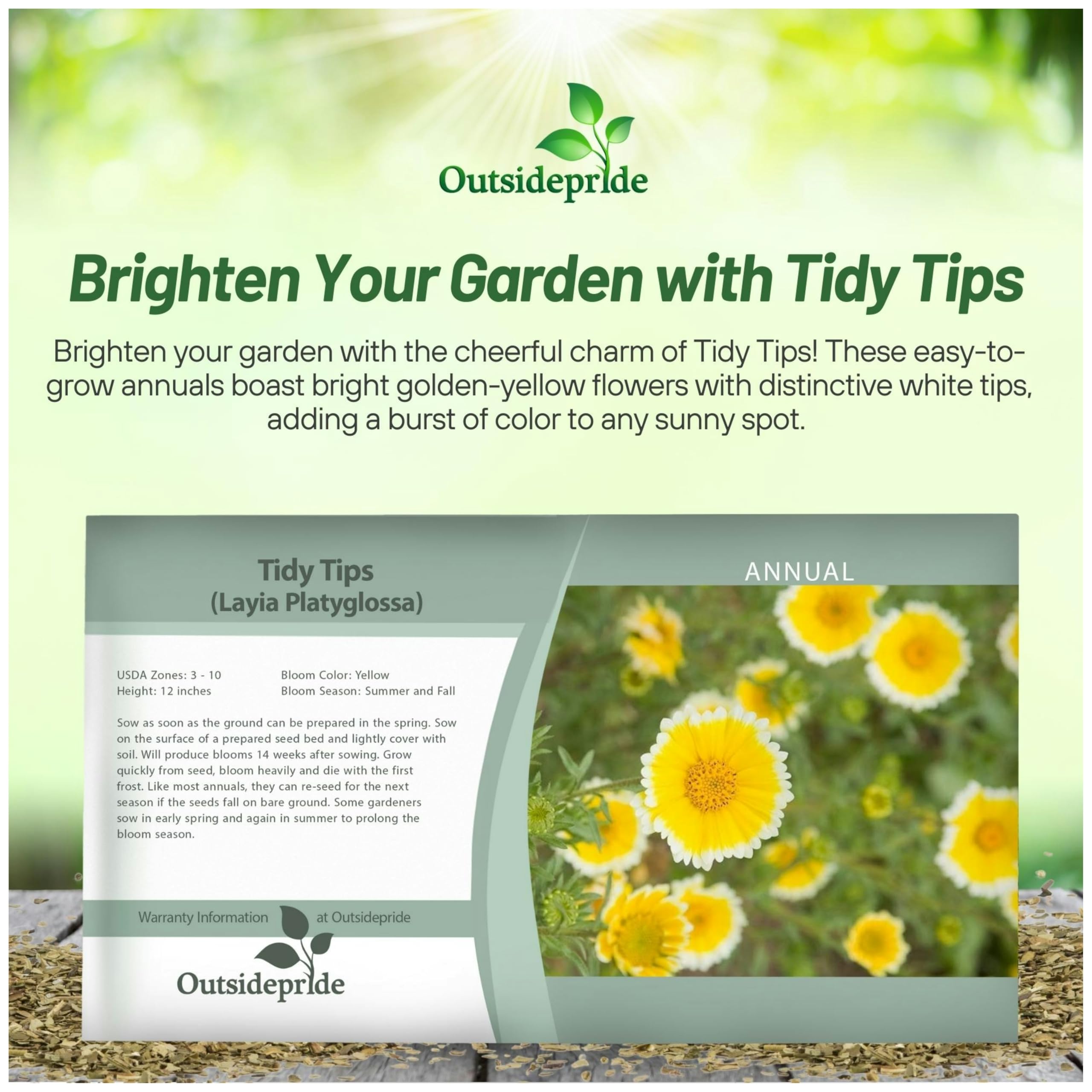 Outsidepride Tidy Tips Seeds - 5000 Pcs Annual Dazzling Golden-Yellow & White Blooms, Drought Tolerant, Self-Seeding, Ideal for Rock Gardens, Flower Boxes, Borders, Xeriscape & Low-Water Landscapes