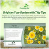 Outsidepride Tidy Tips Seeds - 5000 Pcs Annual Dazzling Golden-Yellow & White Blooms, Drought Tolerant, Self-Seeding, Ideal for Rock Gardens, Flower Boxes, Borders, Xeriscape & Low-Water Landscapes