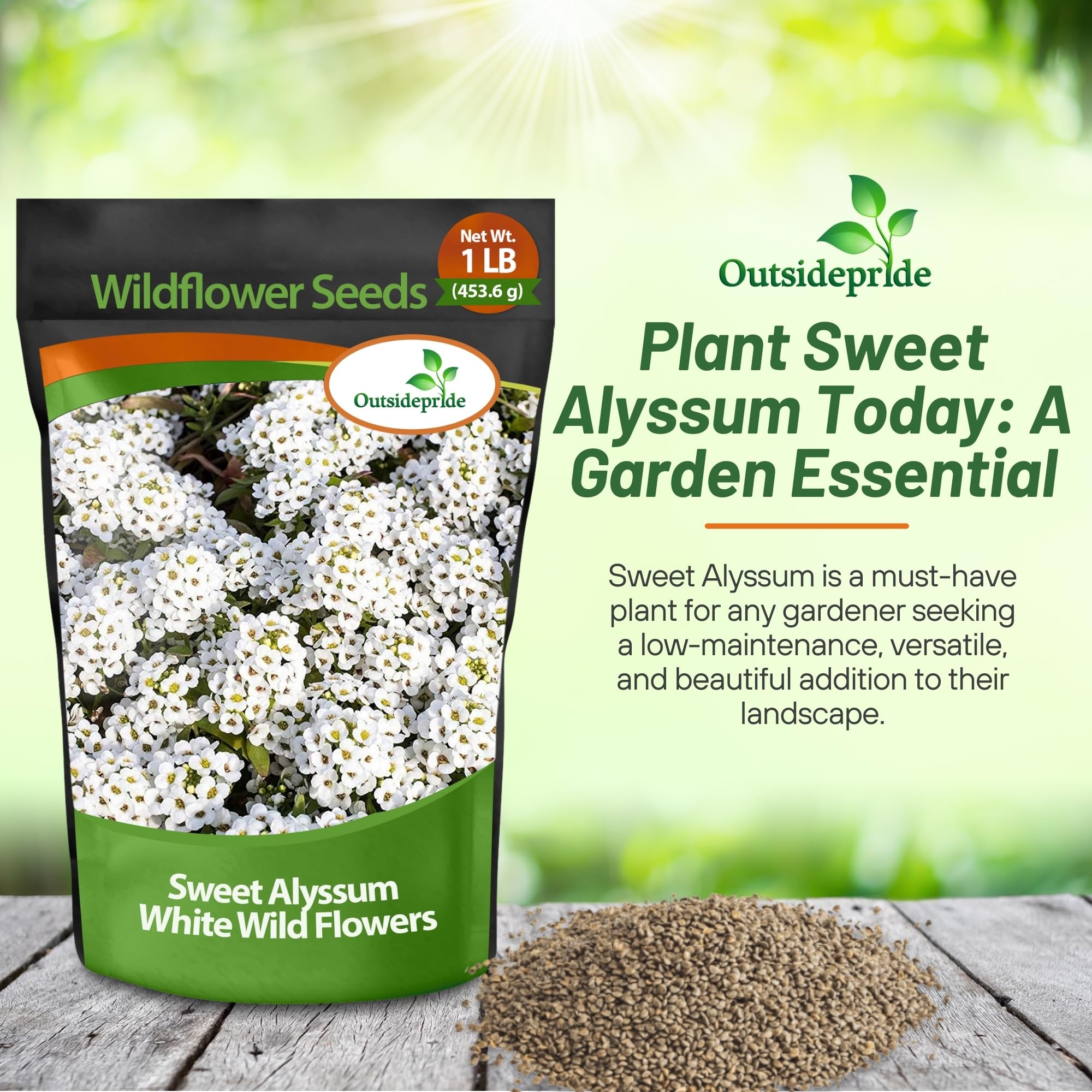 Outsidepride Perennial Sweet Alyssum Seeds - 1 lb. White Lobularia Maritima Seeds for Ground Cover, Pollinator-Friendly Gardens, Drought-Tolerant Landscaping, Easy-to-Grow in USDA Zones 7-9