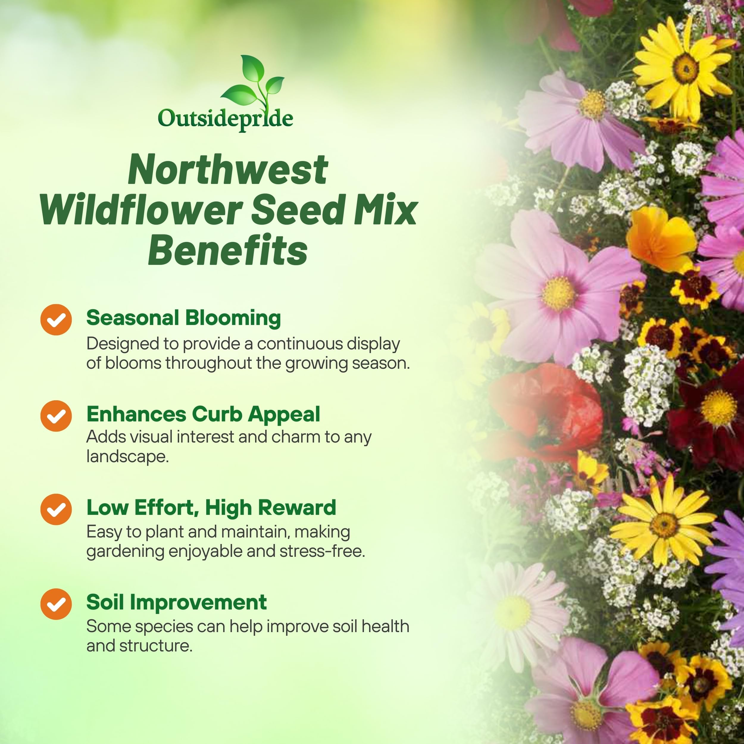 Outsidepride Northwest Wild Flower Seed Mix - 1 lb Premium Blend of Annual & Perennial Wildflower Seeds for Northwestern States - Ideal for Attracting Pollinators, Perfect for Garden Displays