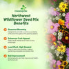 Outsidepride Northwest Wild Flower Seed Mix - 1 lb Premium Blend of Annual & Perennial Wildflower Seeds for Northwestern States - Ideal for Attracting Pollinators, Perfect for Garden Displays
