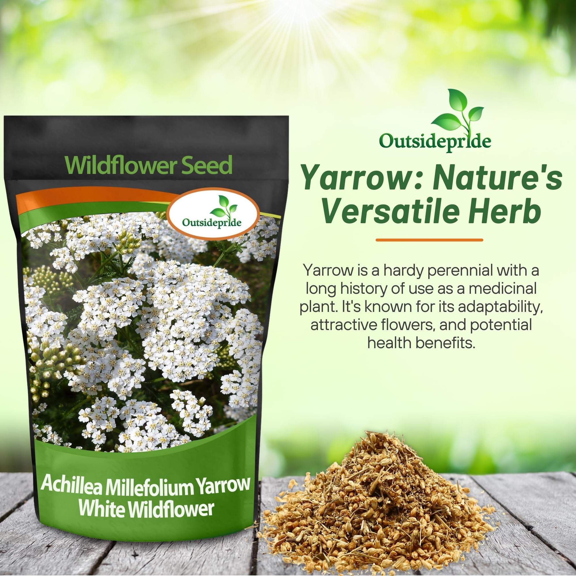 Outsidepride Achillea Millefolium Wild White Yarrow Seeds - 1/4 Lb. Perennial Flower Seeds, Drought Resistant, Low Maintenance & Easy Planting for Beautiful Garden & Fireflies Attraction