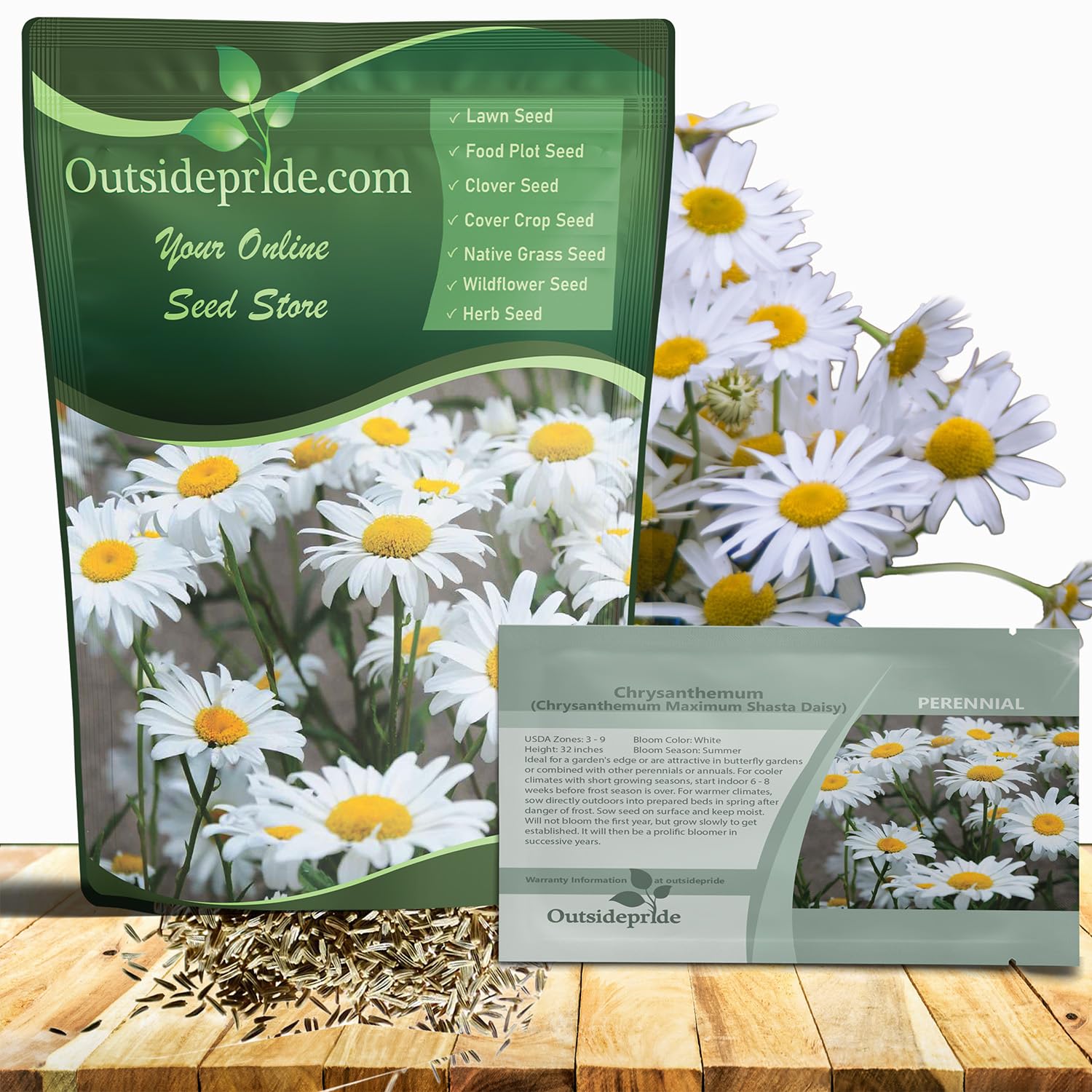 Outsidepride Shasta Daisy Chrysanthemum Seeds - 5 Lbs. Perennial Deer Proof, Drought Tolerant, Wildflower Seeds for Pollinator Gardens, Cut Flowers & Water-Efficient, Low Maintenance Landscaping