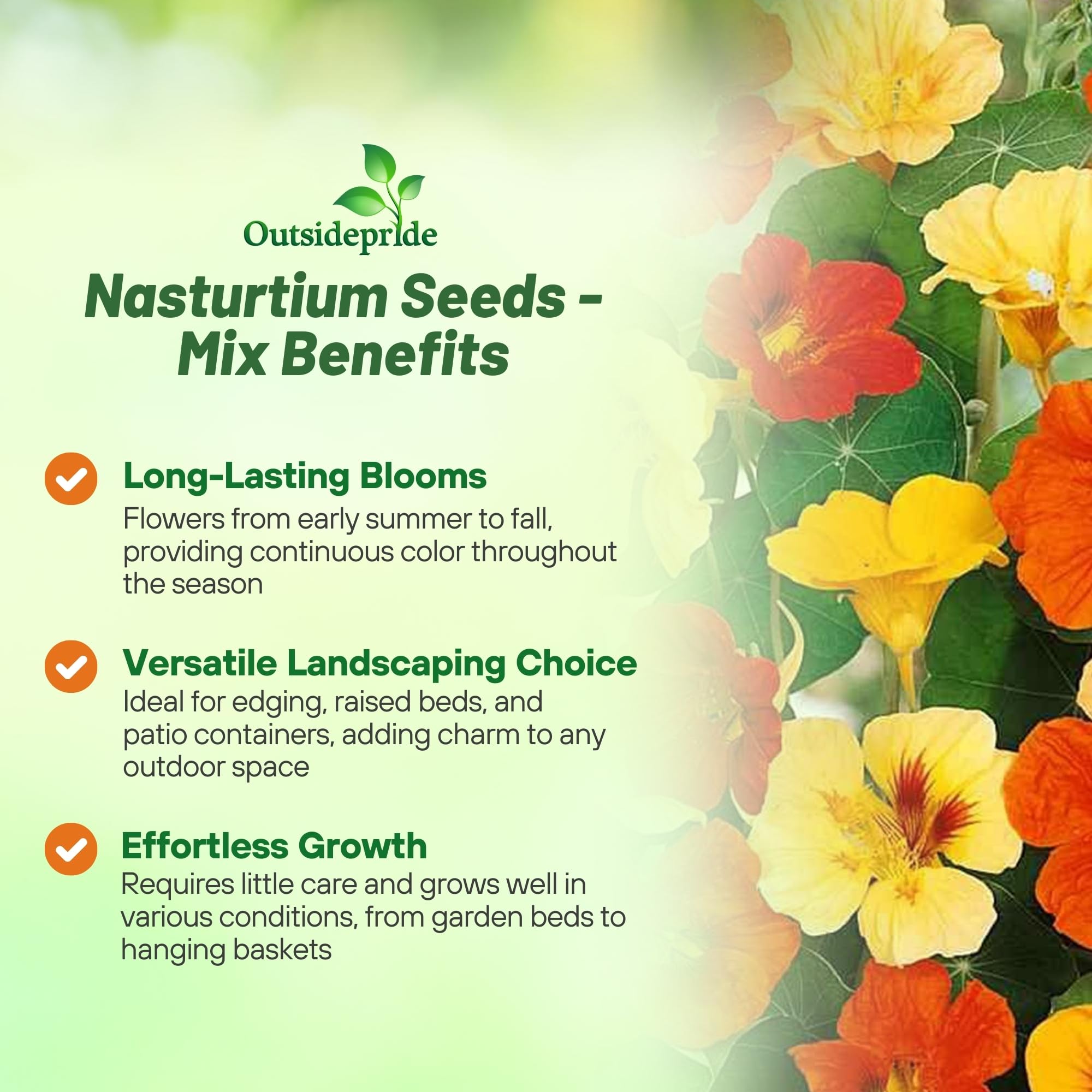 Outsidepride Jewel Mix Nasturtium Seeds - 1/4 lb. Annual, Easy to Grow & Versatile, Flower Seeds for Planting Vibrant Blooms, Ideal for Gardens, Borders, and Pollinator Gardens