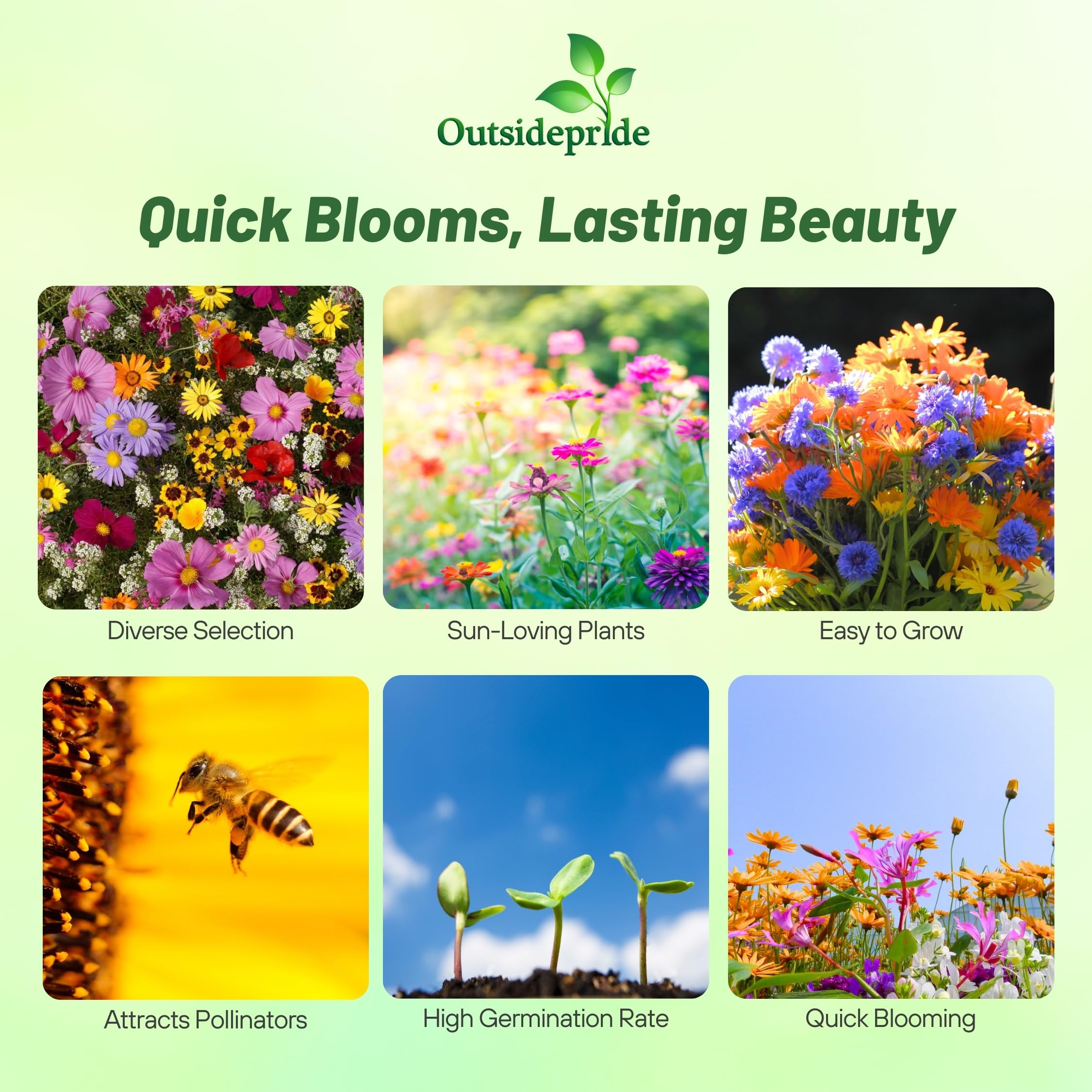 Outsidepride Annual Sun Wild Flower Seed Mix - 1 lb Premium Blend of Annual Wildflower Seeds for Sunny Locations, Vibrant & Easy-to-Grow, Attracts Pollinators, Ideal for Home Gardens & Floral Displays