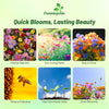 Outsidepride Annual Sun Wild Flower Seed Mix - 1 lb Premium Blend of Annual Wildflower Seeds for Sunny Locations, Vibrant & Easy-to-Grow, Attracts Pollinators, Ideal for Home Gardens & Floral Displays