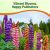 Outsidepride Mixed Russells Lupine Seeds - 1/4 Lb. Perennial, Self-Sowing, Cold Hardy & Frost Tolerant Wildflower Seeds for Fall Planting, Ideal for Attracting Pollinators & Hummingbirds
