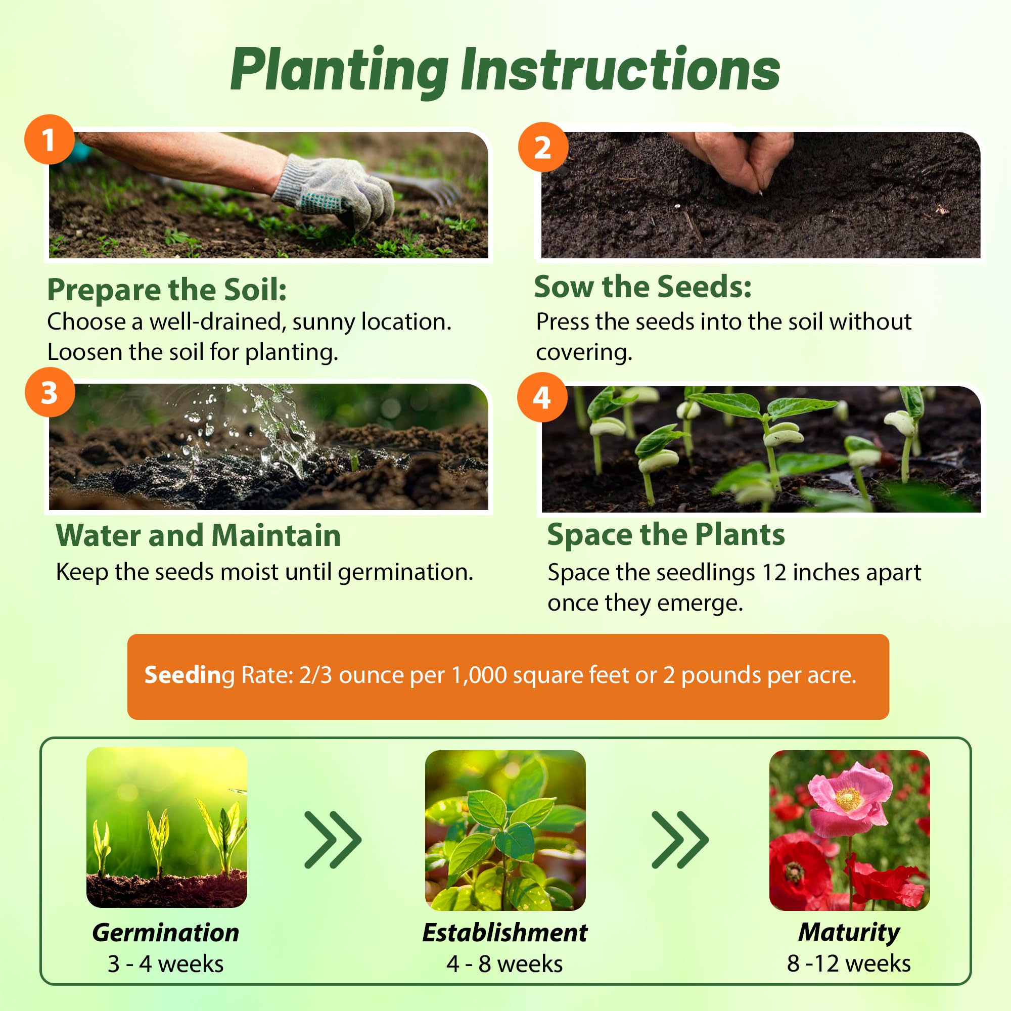 Outsidepride Shirley Poppy Seeds for Planting - 1 lb Annual, Drought-Tolerant & Easy to Grow Wildflower Seeds with Vibrant Mix Blooms for Landscaping, & Pollinator Garden