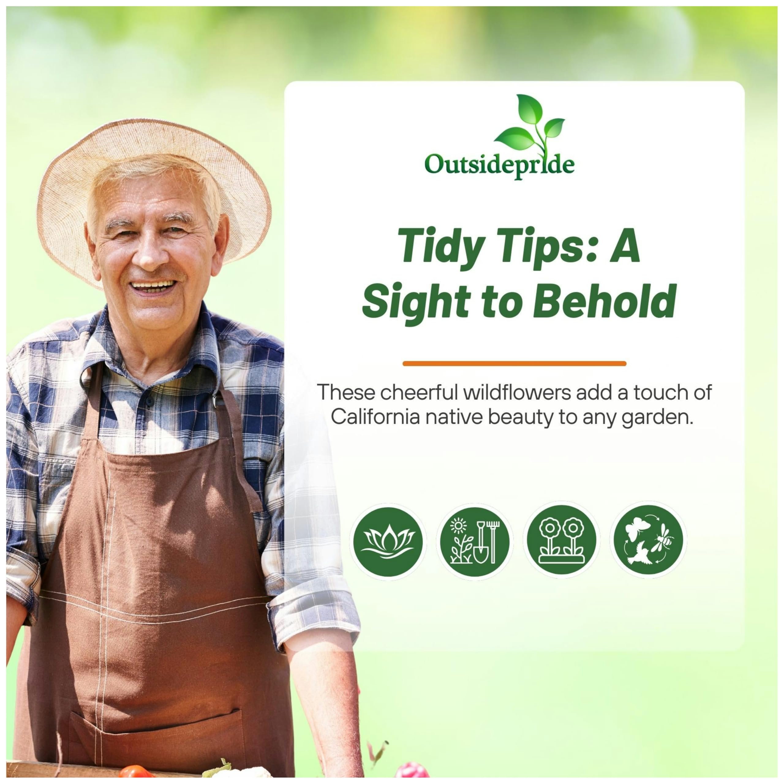 Outsidepride Tidy Tips Seeds - 5000 Pcs Annual Dazzling Golden-Yellow & White Blooms, Drought Tolerant, Self-Seeding, Ideal for Rock Gardens, Flower Boxes, Borders, Xeriscape & Low-Water Landscapes
