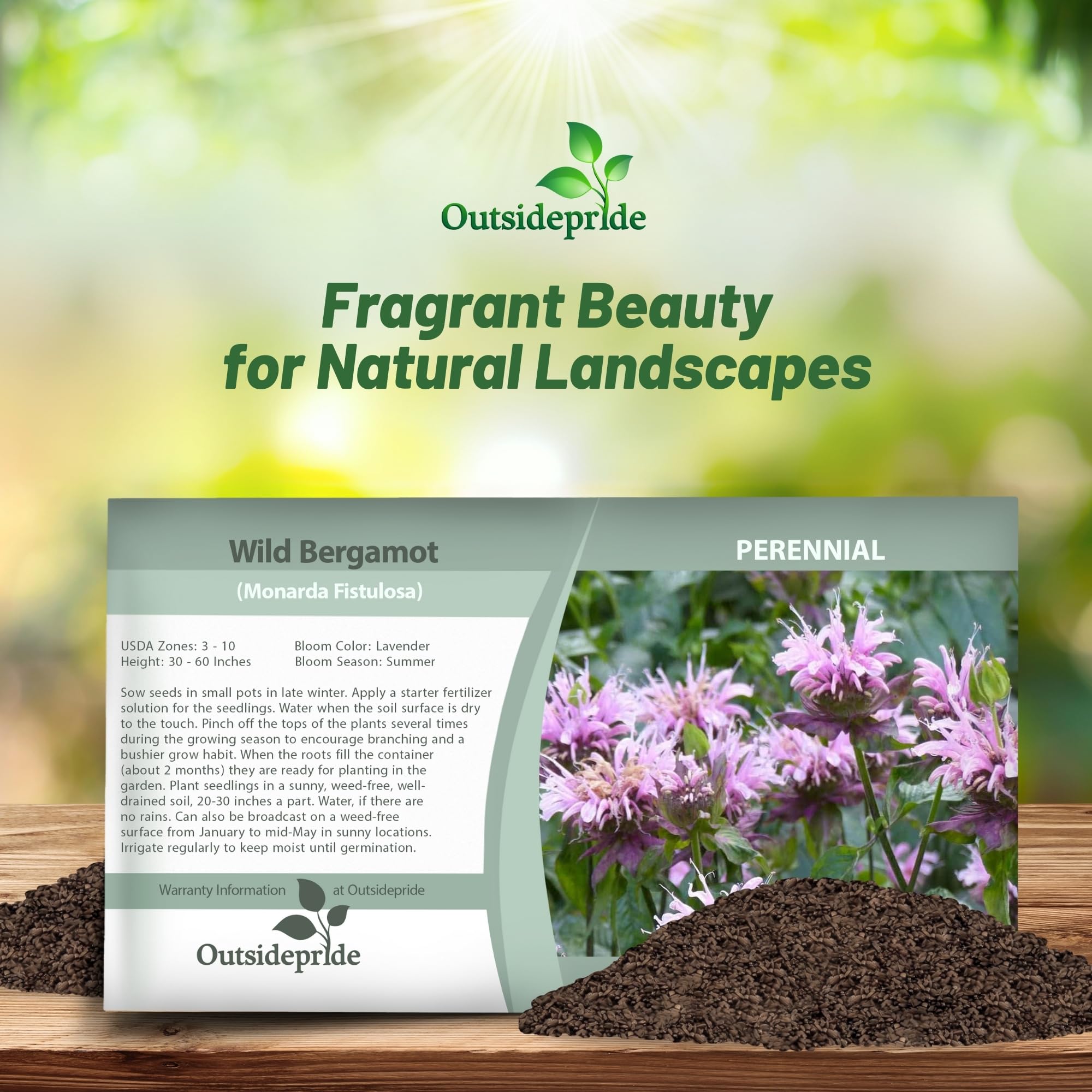 Outsidepride Wild Bergamot Seeds - 1000 Pcs Perennial, Easy to Grow & Pollinator Friendly Monarda Fistulosa Flower Seeds for Planting Aromatic Leaves & Edible Blooms, Ideal for Teas & Potpourri