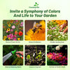 Outsidepride Pollinator Wildflower Seed Mix - 1/4 lb Flower Seeds for Attracting Pollinators, Ideal for All States, Enhances Garden Biodiversity, Supports Bees, Butterflies & Beneficial Insects