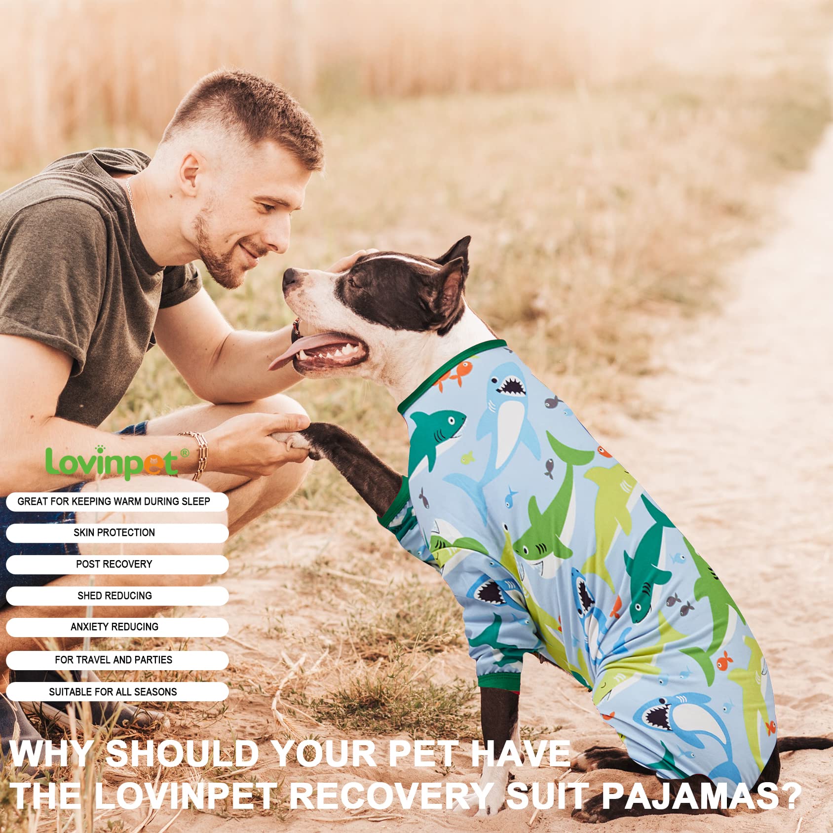 LovinPet Surgical Recovery Shirt for Large Dogs, Undershirt for Dog Coats, Lightweight Stretchy Knit Dog Onesie, Big Bites Turquoise Print, Pitbull Shirt, UV Protection,Stop Shedding for Dogs, 2XL