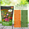Outsidepride Pollinator Wildflower Seed Mix - 1/4 lb Flower Seeds for Attracting Pollinators, Ideal for All States, Enhances Garden Biodiversity, Supports Bees, Butterflies & Beneficial Insects
