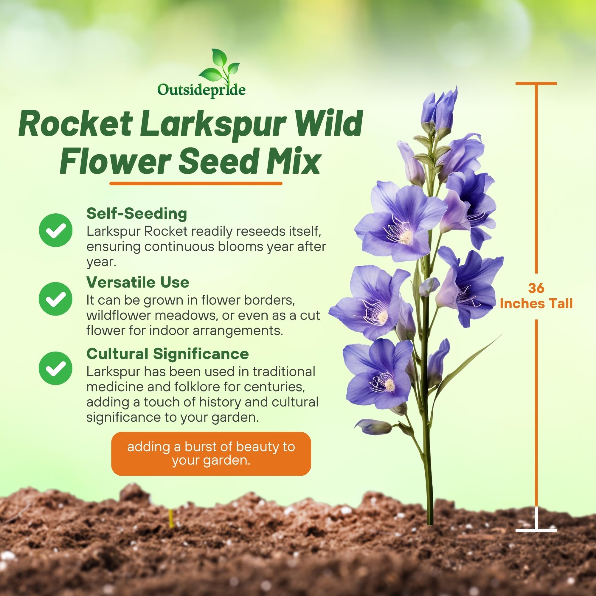 Outsidepride Mixed Rocket Larkspur Seeds for Planting Outdoors - 1 Lb. Annual, Self-Seeding, Heat & Drought Tolerant Wildflower Seeds for Cut Flower Arrangements & Pollinator Gardens