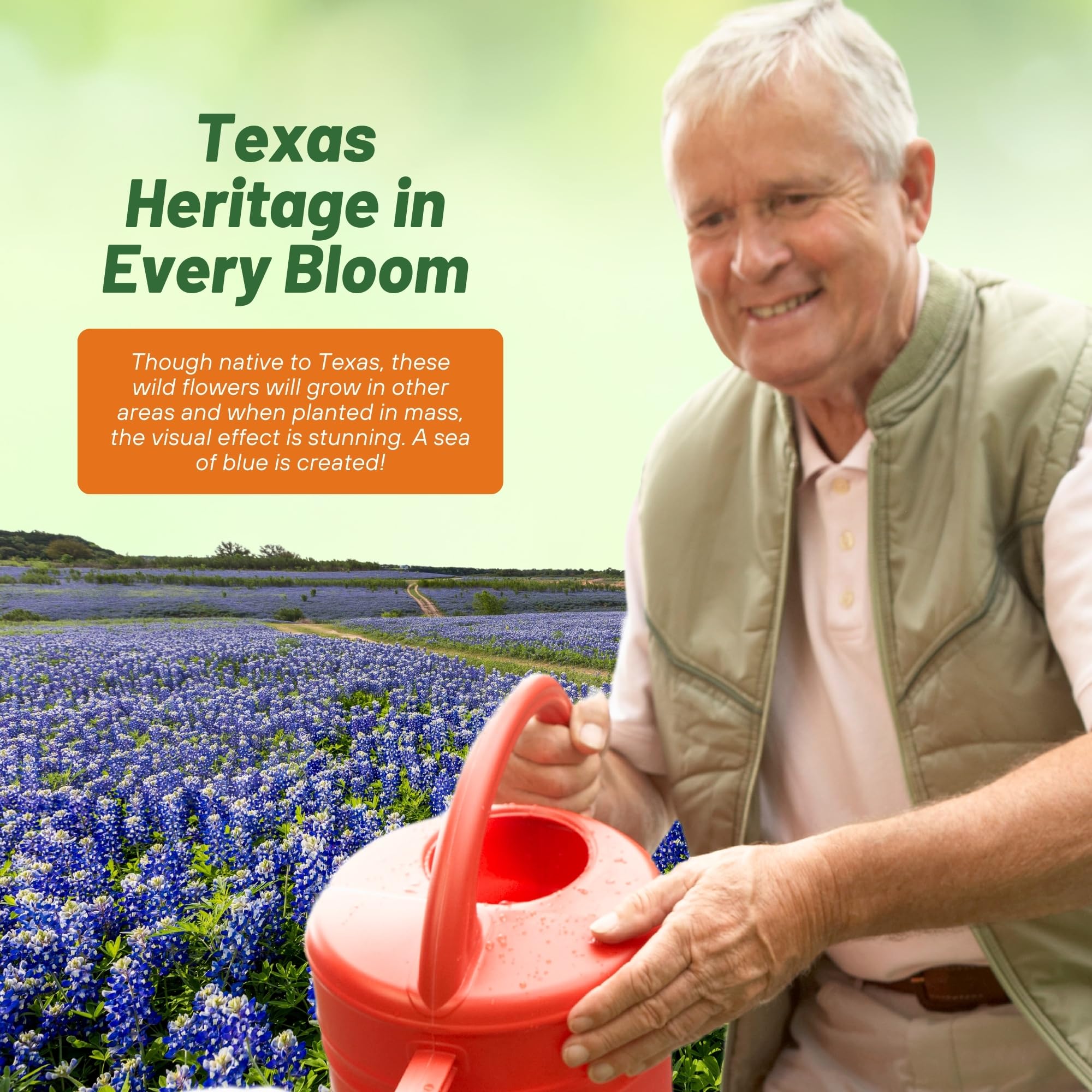 Outsidepride Texas Bluebonnet Seeds - 1 lb. Annual Lupinus Texensis, Heirloom Quality, Drought-Tolerant Wildflower Seeds w/Blue Blooms for Vibrant Spring Displays, Landscape, & Attracts Pollinators