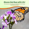 Outsidepride Dame's Rocket Flower Seeds - 1 Lb. Perennial, Easy to Grow, Deer Resistant & Self-Seeding Wildflower Seeds for Planting Vibrant and Fragrant Blooms in Pollinator & Butterfly Gardens