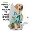 LovinPet Surgical Recovery Shirt for Large Dogs, Undershirt for Dog Coats, Lightweight Stretchy Knit Dog Onesie, Big Bites Turquoise Print, Pitbull Shirt, UV Protection,Stop Shedding for Dogs, 2XL