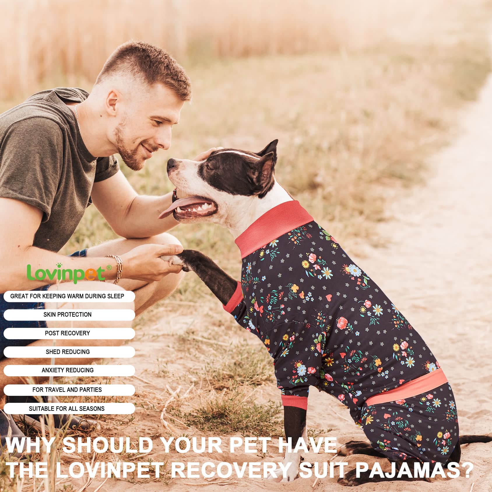 LovinPet Large Dog Pajamas, Post Surgery Onesie for Large Breed Dogs, Reflective Stripe, Breatheable Stretch Jersey Knit, Nighttime Print, Dog Jammies, Pet PJ's, Pet Pajamas for Dogs, 2XL