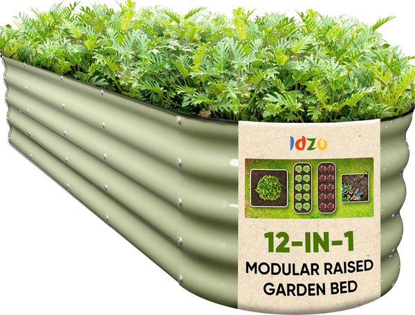 IDZO 17