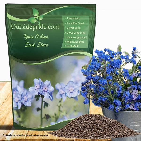 Outsidepride Cynoglossum Blue Chinese Forget Me Not Seeds - 1 Lb. Self-Sowing Annual Flower Seeds for Planting Dense Blue Blooms & Upright Growth Habit for Borders, Pollinator & Cottage Gardens