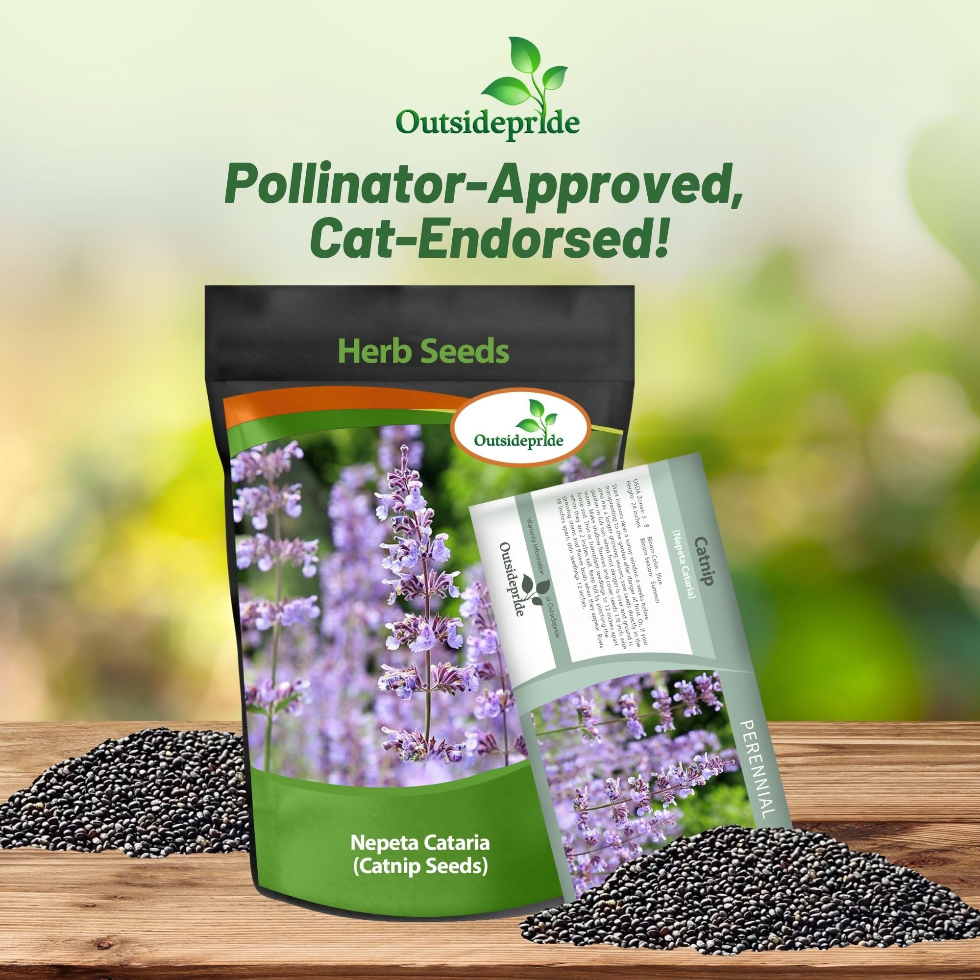 Outsidepride Nepeta Cataria Catnip Seeds for Planting – 1/4 lb. Perennial, Pollinator-Friendly, Drought-Tolerant, & Low Maintenance Herb Seeds with Fragrant Blue Blooms, Ideal Fresh Catnip for Cats