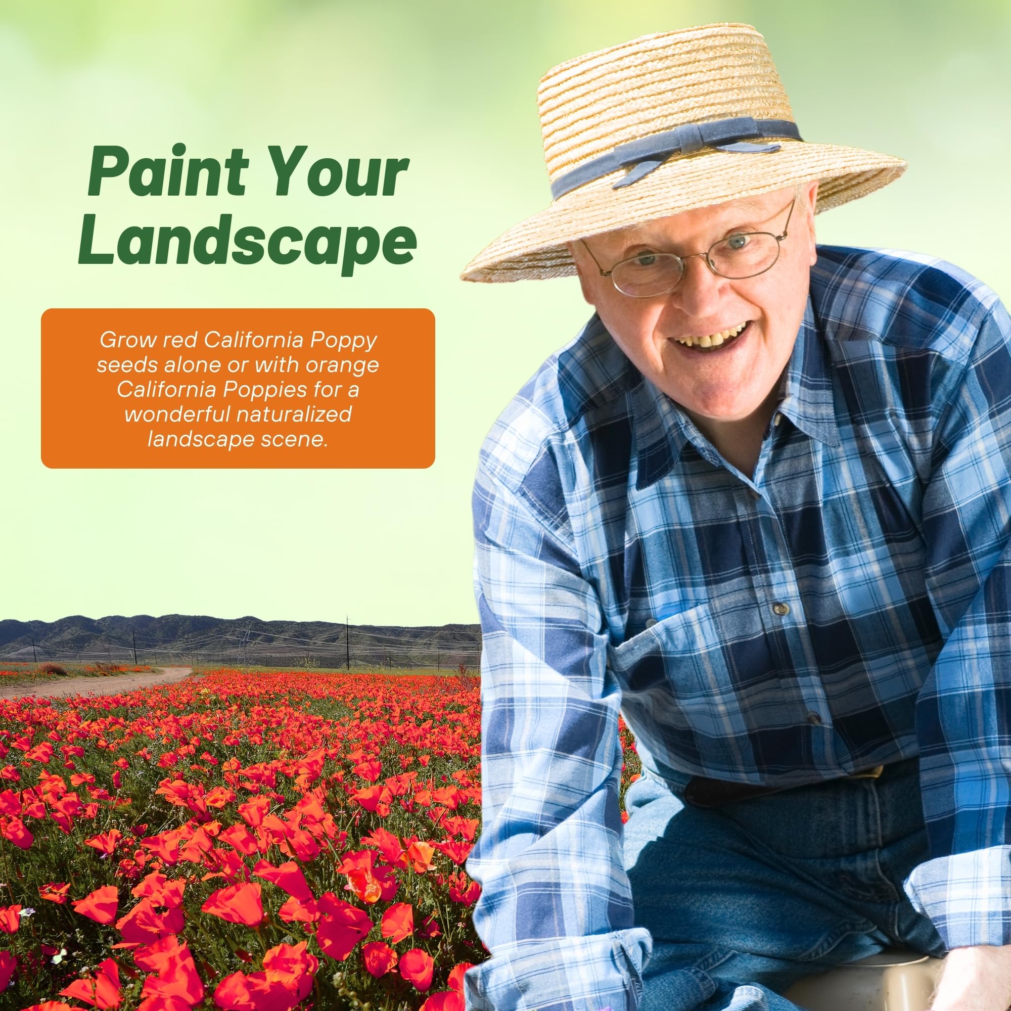 Outsidepride Red Chief California Poppy Seeds for Planting - 1/4 Lbs. Annual, Drought-Tolerant & Easy to Grow Wildflower Seeds with Vibrant Blooms for Landscaping, & Pollinator Garden