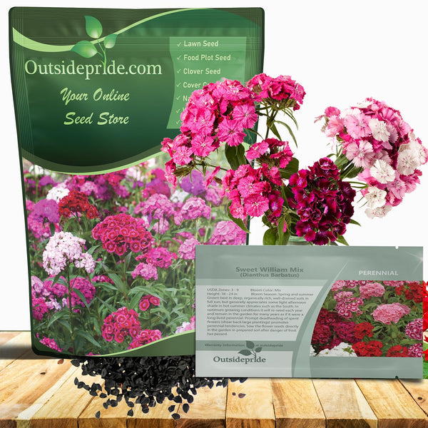 Outsidepride Sweet William Dianthus Seeds - 5 Lbs. Perennial, Winter Hardy Wildflower Seeds w/Fragrant & Vibrant Blooms, Ideal for Pollinator Gardens, Cut Flowers & Colorful Landscaping