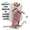 LovinPet Large Dog Pajamas, Cotton Multicolor Stripe Big Dog Shirt, Stop Shedding for Dogs, Full Body Dog Onesie, Pet Pajamas for Dogs, Pet PJ's, 3XL