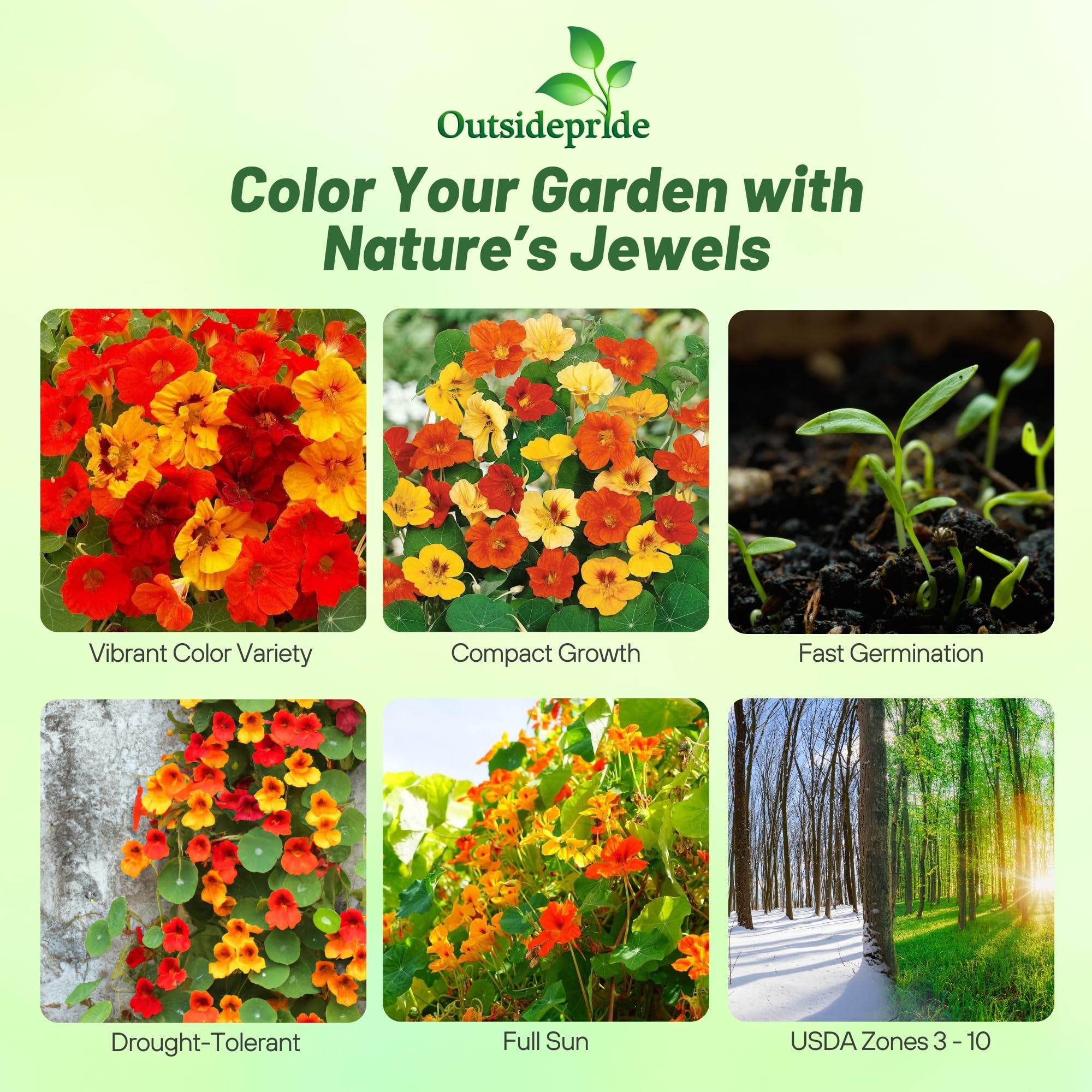 Outsidepride Jewel Mix Nasturtium Seeds - 1/4 lb. Annual, Easy to Grow & Versatile, Flower Seeds for Planting Vibrant Blooms, Ideal for Gardens, Borders, and Pollinator Gardens