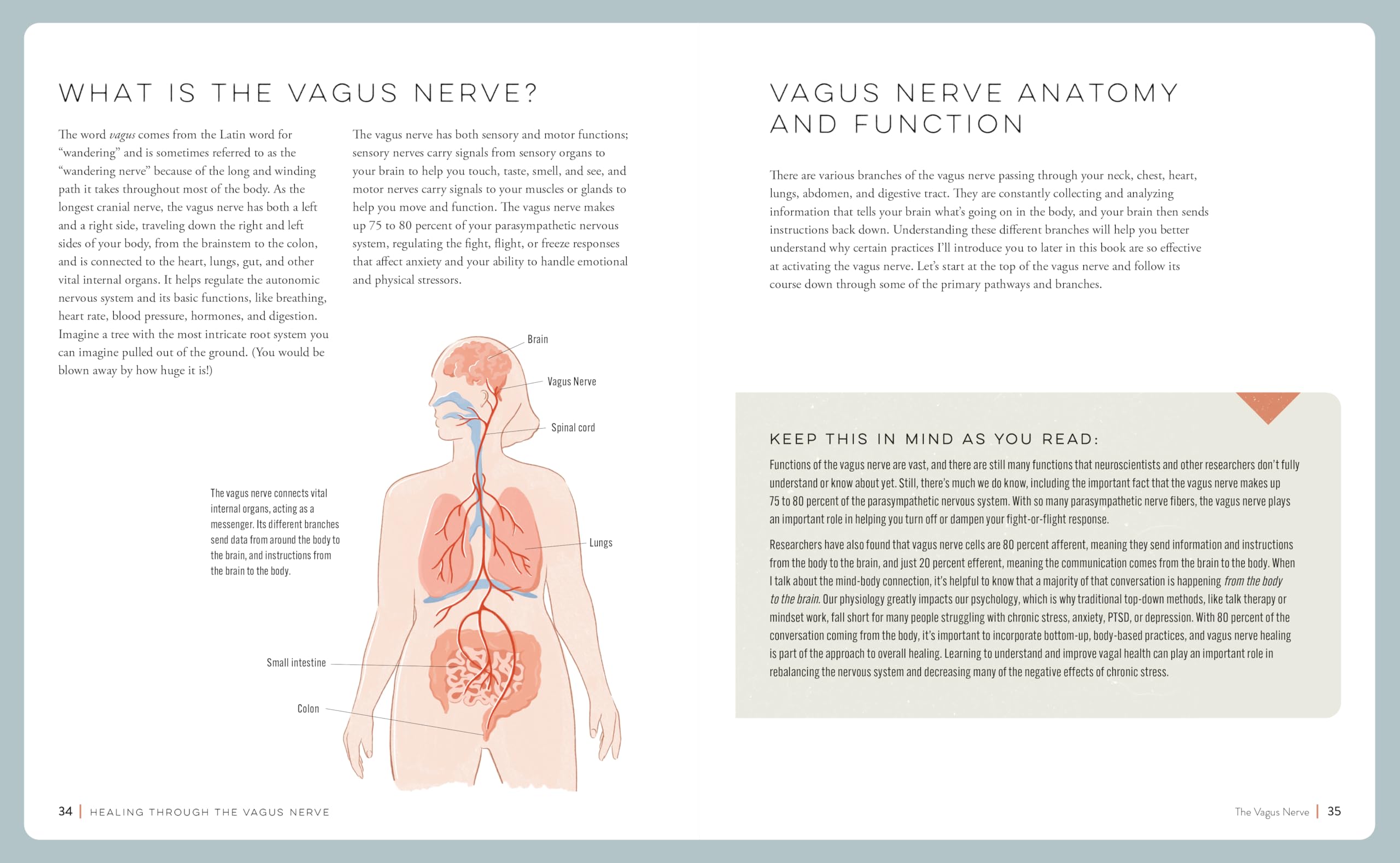 Healing Through the Vagus Nerve: Improve Your Body’s Response to Anxiety, Depression, Stress, and Trauma Through Nervous System Regulation