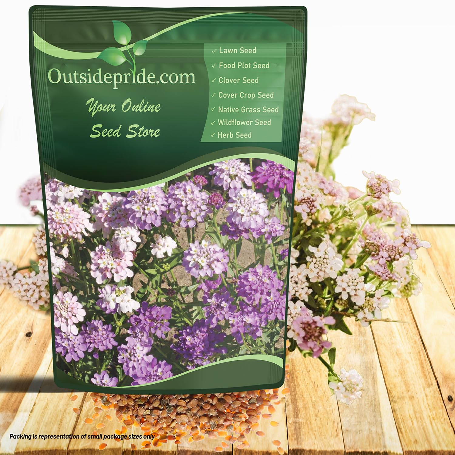 Outsidepride Wild Flower Candytuft Seeds - 1/4 lb. Annual Flower Seeds for Planting with Attractive Flowers, Easy to Grow & Drought Tolerant for Garden Ground Cover, Borders, & Edging
