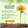 Outsidepride Tidy Tips Seeds - 5000 Pcs Annual Dazzling Golden-Yellow & White Blooms, Drought Tolerant, Self-Seeding, Ideal for Rock Gardens, Flower Boxes, Borders, Xeriscape & Low-Water Landscapes