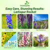 Outsidepride Mixed Rocket Larkspur Seeds for Planting Outdoors - 1 Lb. Annual, Self-Seeding, Heat & Drought Tolerant Wildflower Seeds for Cut Flower Arrangements & Pollinator Gardens