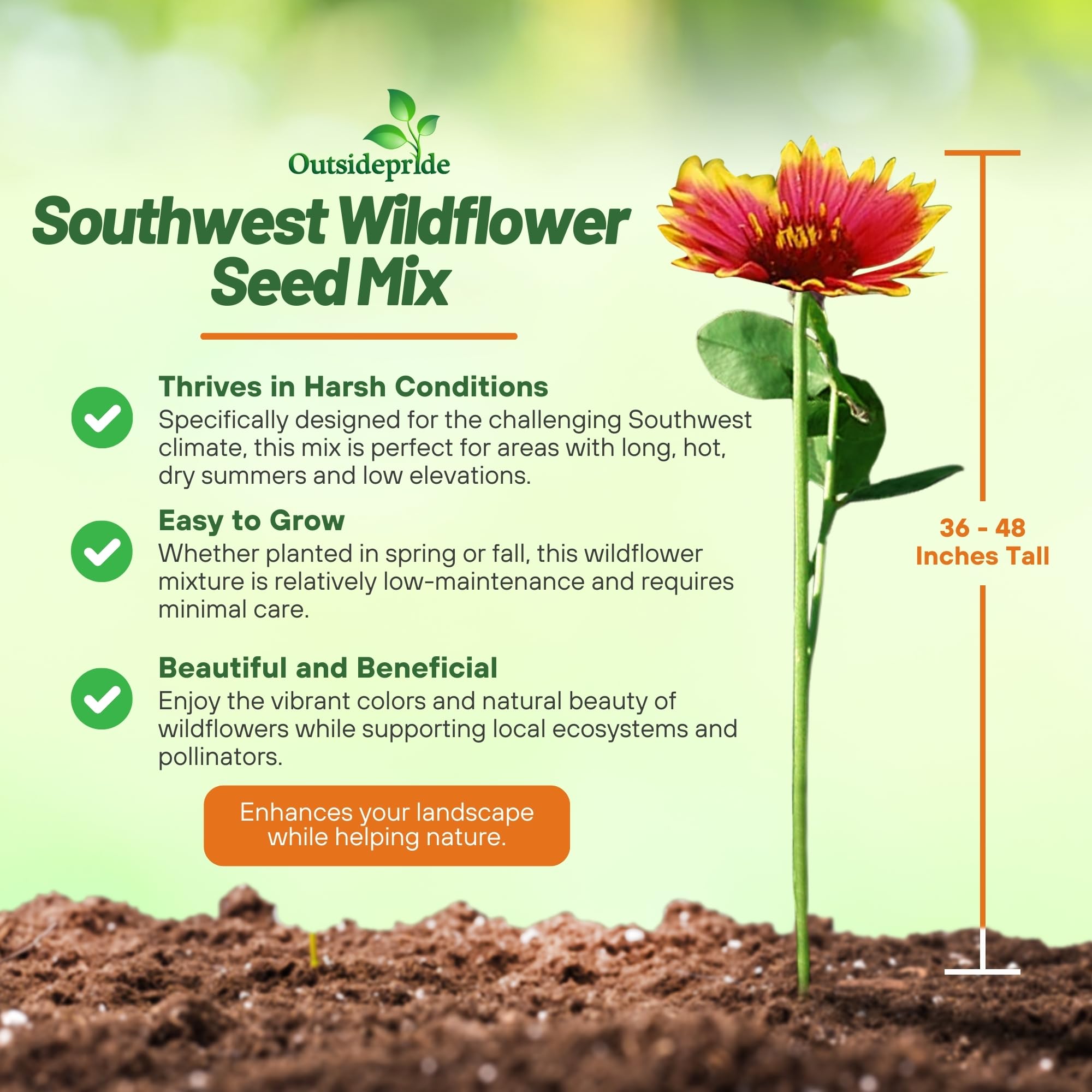 Outsidepride Southwest Wild Flower Seed Mix - 5 lbs. Heat & Drought Tolerant Premium Blend of Annual & Perennial Wildflower Seeds for Planting on Outdoor Lawns & Gardens from Spring to Fall