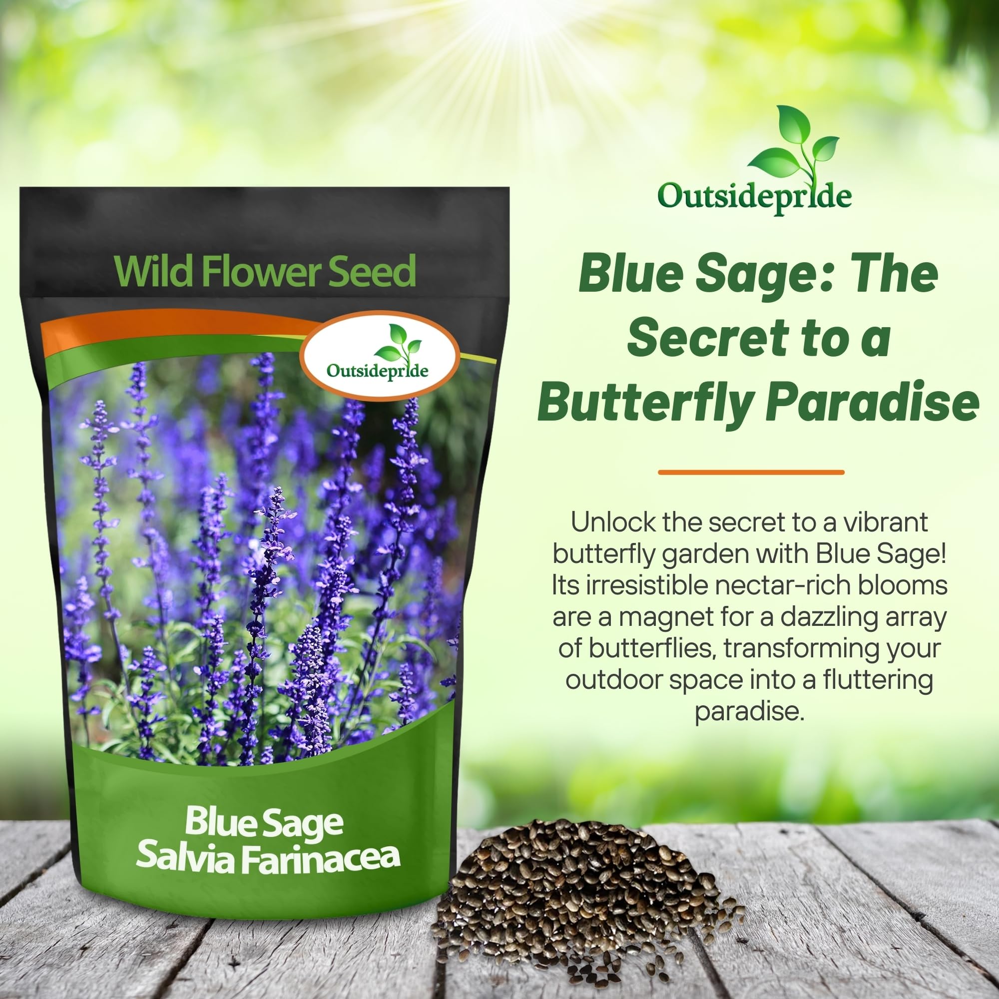 Outsidepride Blue Sage Seeds - 1/2 Lb. Perennial, Drought-Tolerant & Deer-Resistant Wildflower Seeds w/Fragrant Blooms for Pollinator Attractant for Butterfly & Hummingbird Gardens & Landscaping