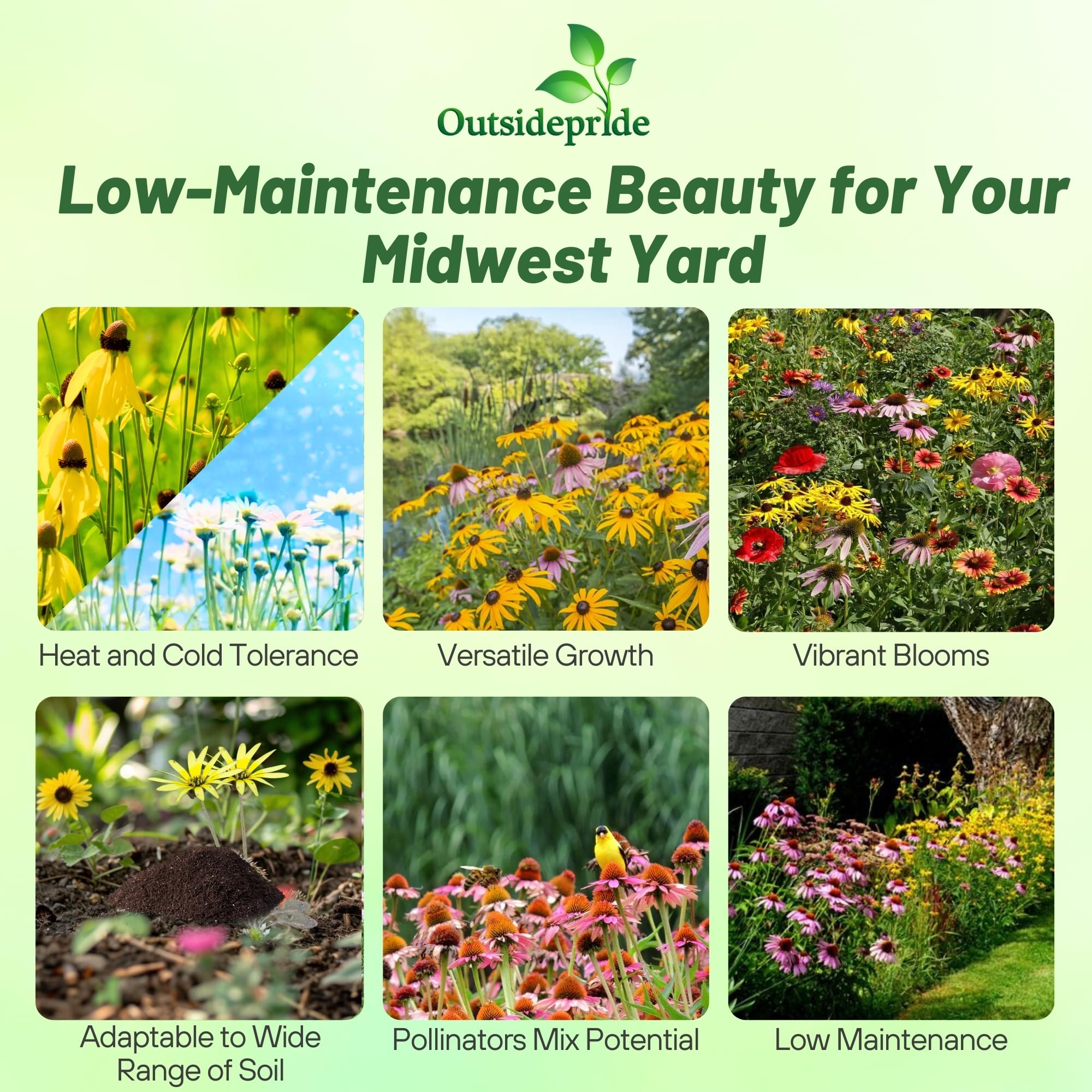Outsidepride Midwest Wildflower Seed Mix - 5 Lbs Premium Blend of Annual & Perennial Native Wildflower Seeds for Midwestern States, Attracts Pollinators, Low-Maintenance, Ideal for Meadows & Gardens