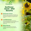 Outsidepride Wild Sunflower Seeds for Planting - 1000 Pcs Annual, Easy to Grow Flower Seeds w/Vibrant, Abundant Blooms for Cut Flower Arrangements & Pollinator & Vegetable Gardens
