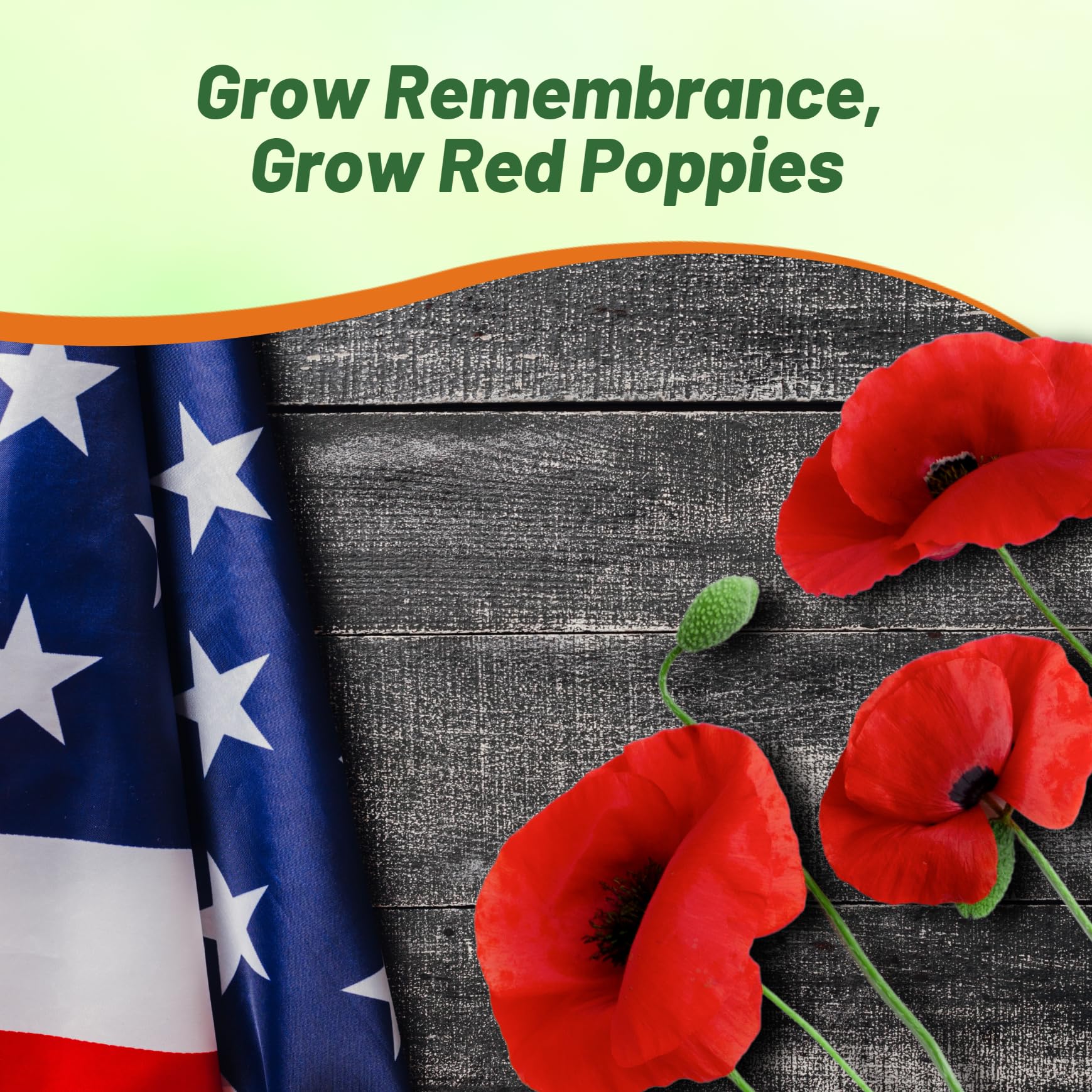 Outsidepride Red Poppy Seeds for Planting - 1/4 lb. Annual, Drought-Tolerant & Easy to Grow Wildflower Seeds with Vibrant Red Blooms for Landscaping, & Pollinator Garden