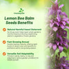 Outsidepride Lemon Bee Balm Seeds - 5000 Pcs Annual, Easy to Grow & Pollinator Friendly Monarda Citriodora Flower Seeds for Planting Fragrant Lavender Pink Blooms, Ideal for Teas & Potpourri