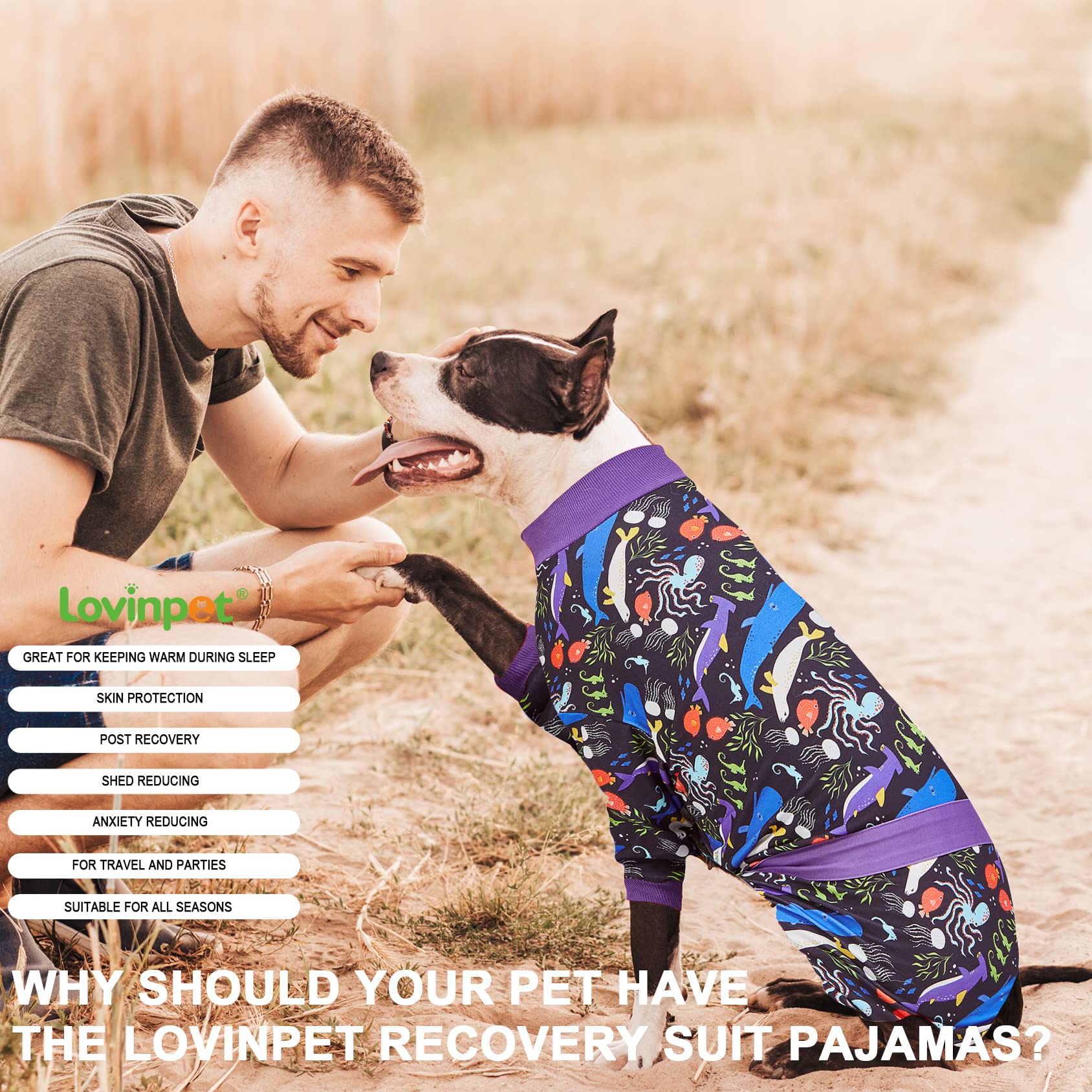 LovinPet Large Big Dog Pajamas - Post Surgery Onesie for Large Dog Breeds, Reflective Stripe, Lightweight Breatheable Stretchy Knit, Charcoal Gray Deep Sea Print, Pitbull Clothes, Pet PJ's, Black M