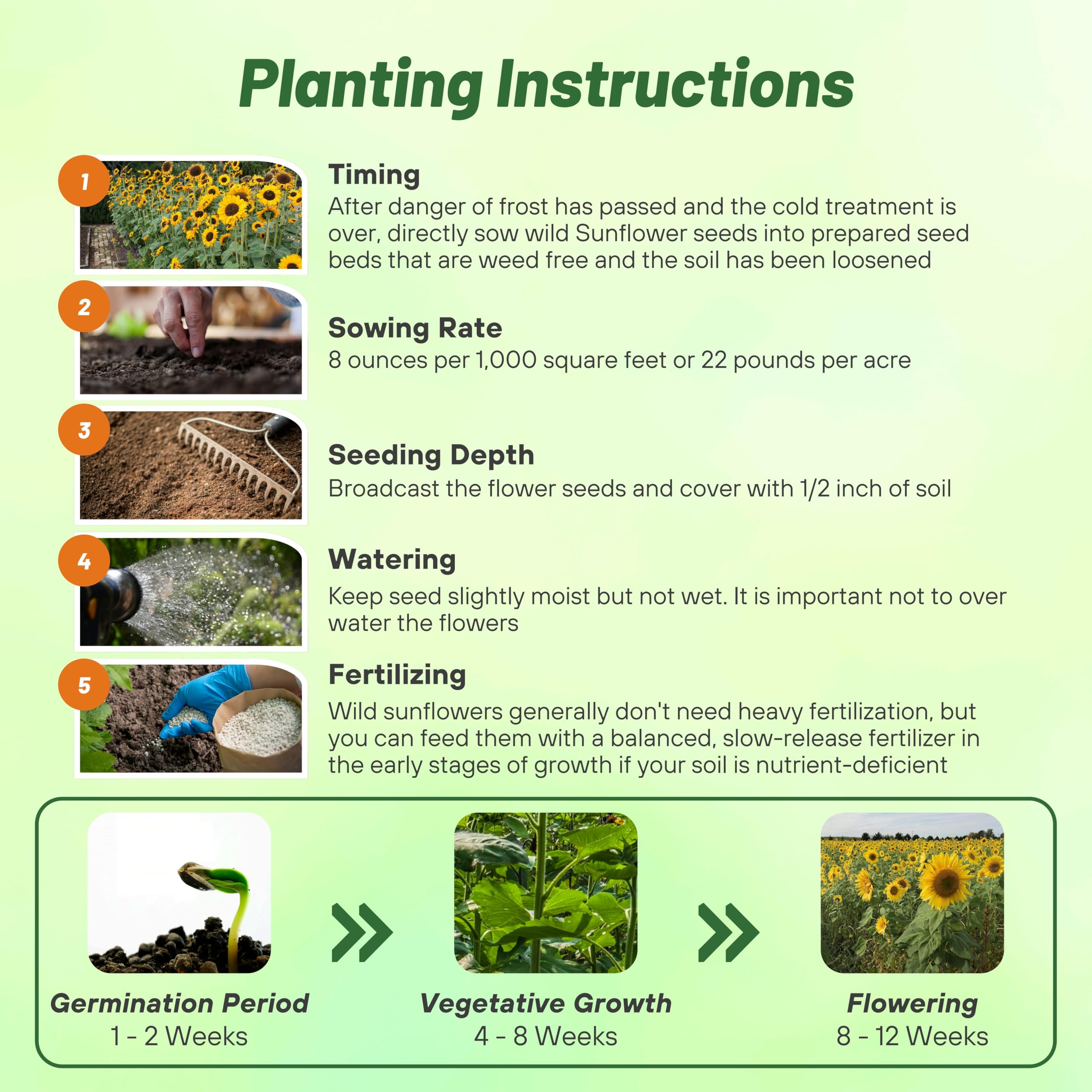 Outsidepride Wild Sunflower Seeds for Planting - 1000 Pcs Annual, Easy to Grow Flower Seeds w/Vibrant, Abundant Blooms for Cut Flower Arrangements & Pollinator & Vegetable Gardens